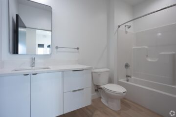 White dog wearing sunglasses sitting in car driver seat