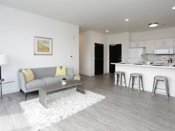 Modern open-concept apartment living room and kitchen