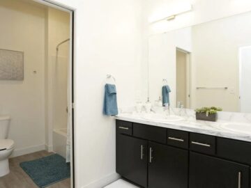Modern bathroom with double vanity and dark cabinets